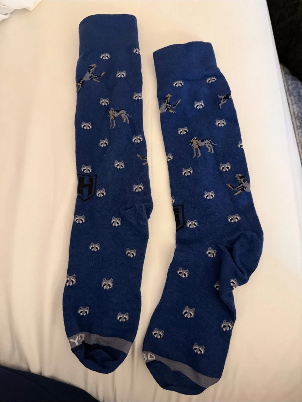 Blue Novelty Crew Dress Socks with Dog and Raccoon Motifs